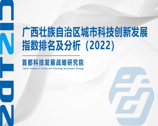 调教喷水求饶观看【成果发布】广西壮族自治区城市科技创新发展指数排名及分析（2022）